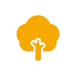 Tree Arborist Services